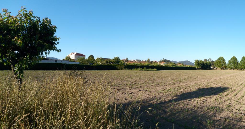 Villa Quinta Da Lage à Barcelos Extérieur photo